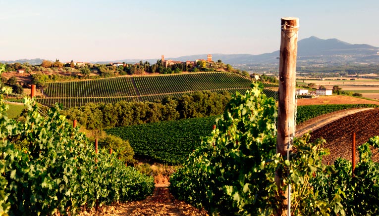 Bttqf-tuscany-biking-9